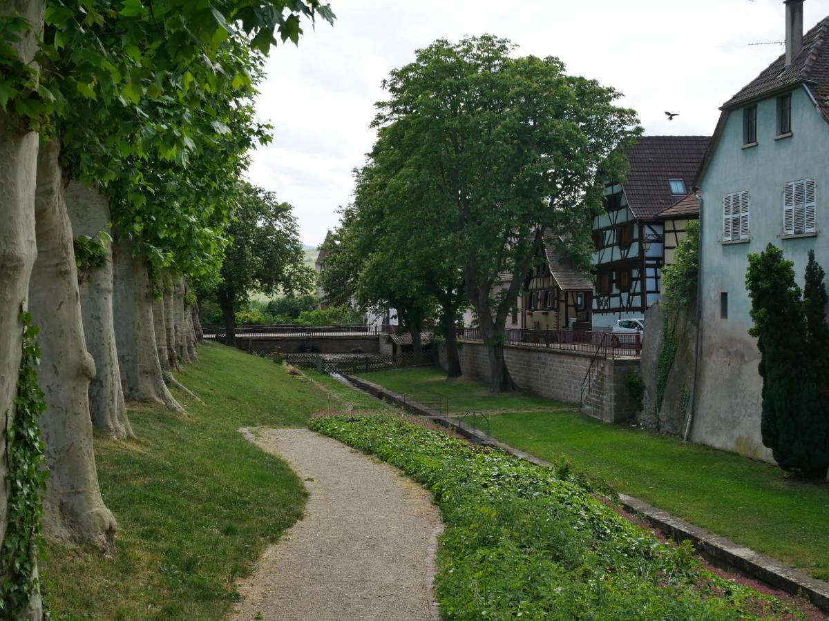 La Cour St-Fulrad - Les Suites แซ็ง-อิปโปลีท ภายนอก รูปภาพ
